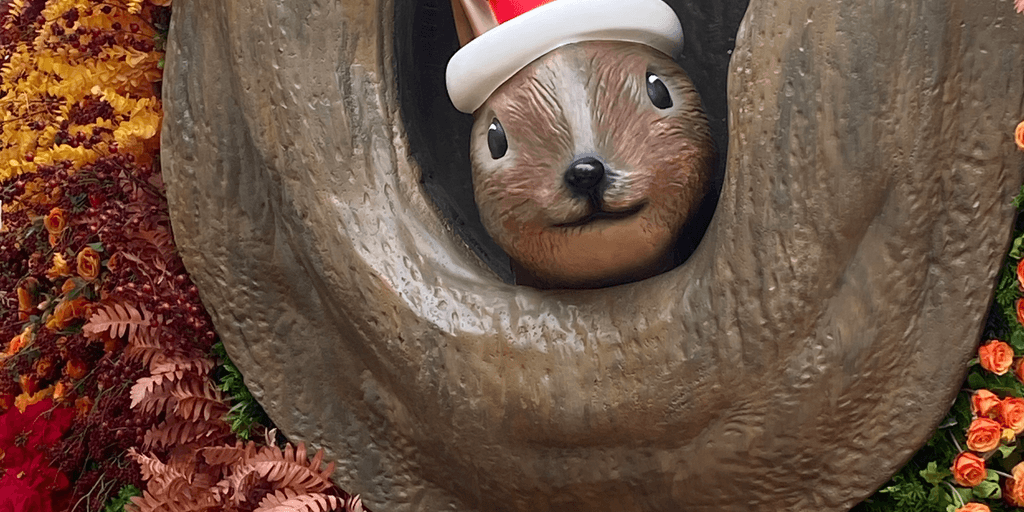 user banner