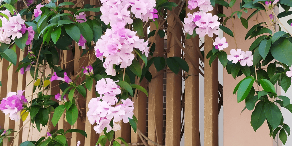 user banner