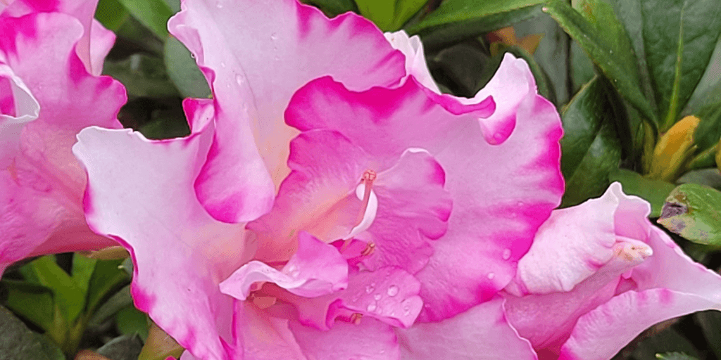 user banner