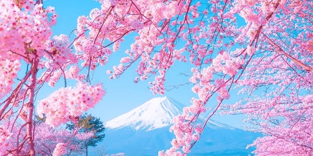 user banner