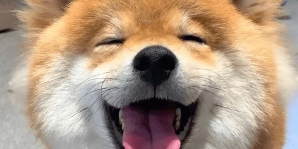 user banner