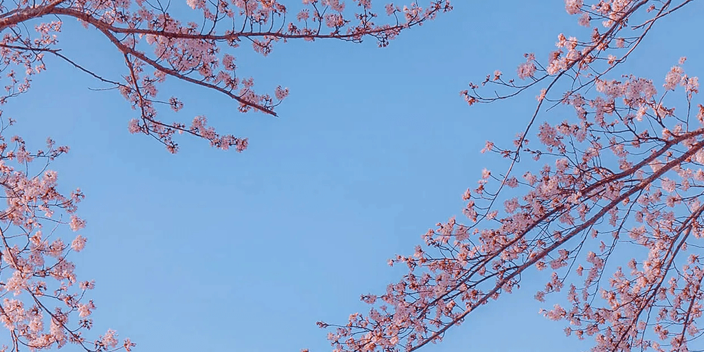 user banner