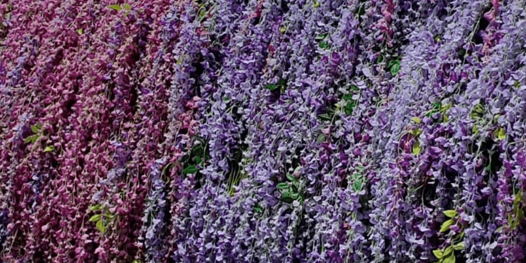 user banner