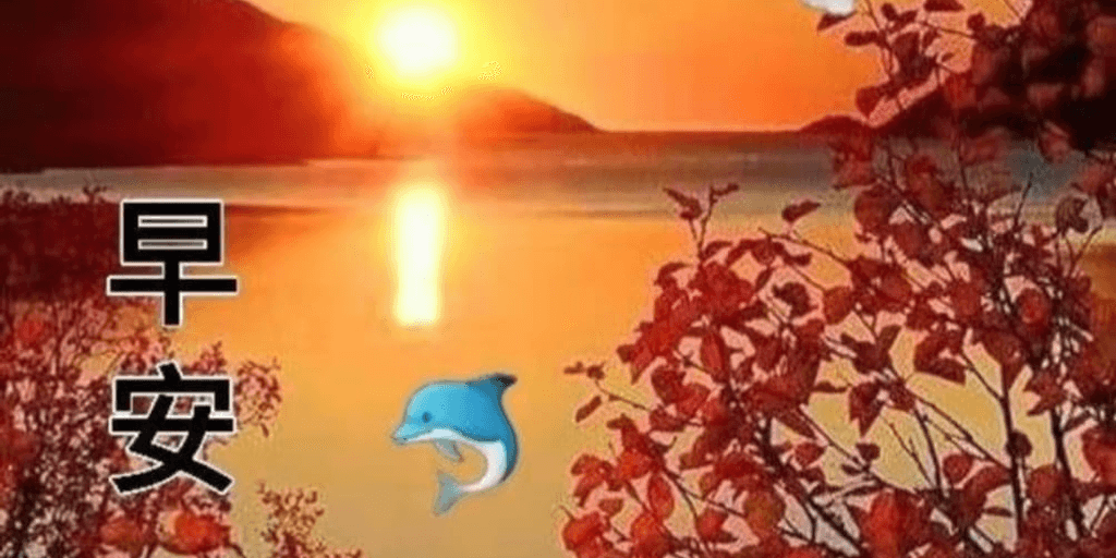 user banner
