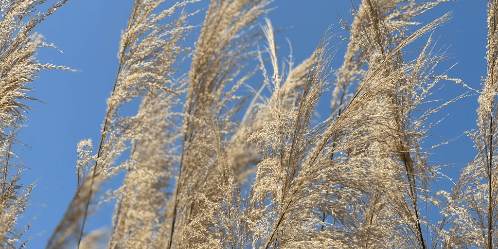 user banner