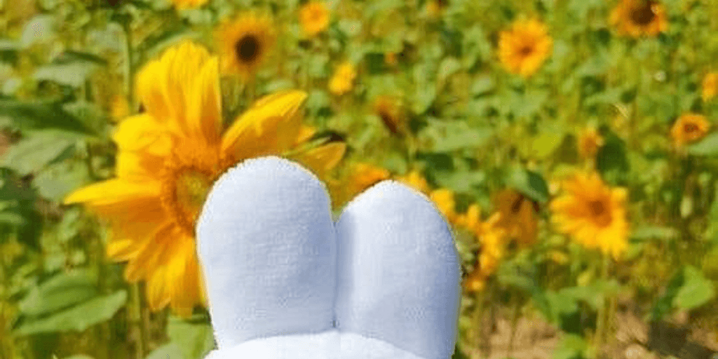 user banner