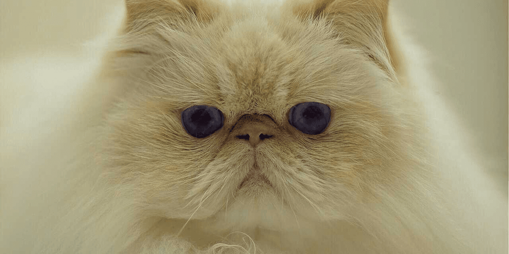user banner