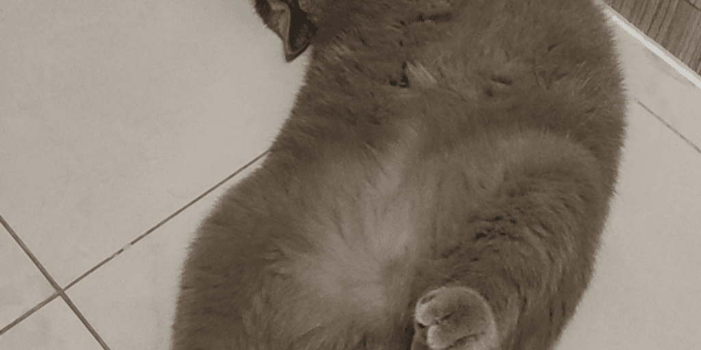 user banner