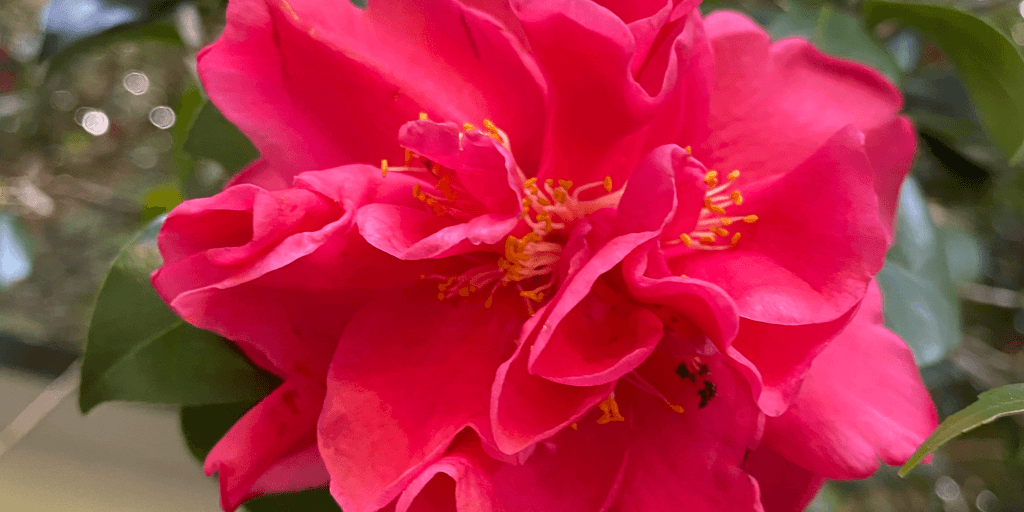 user banner