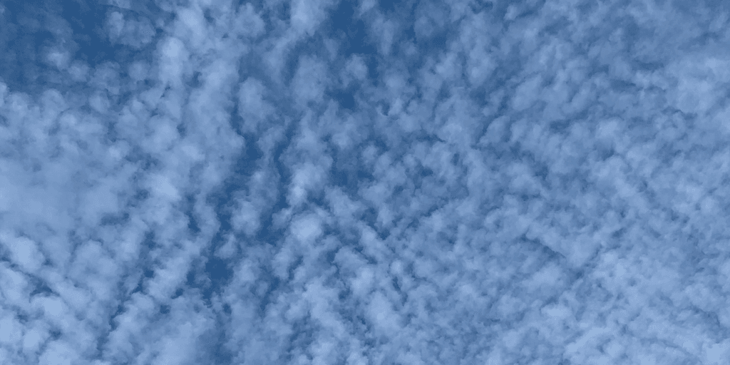 user banner