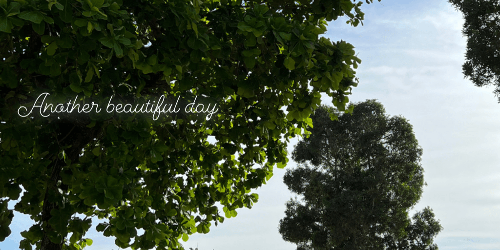 user banner