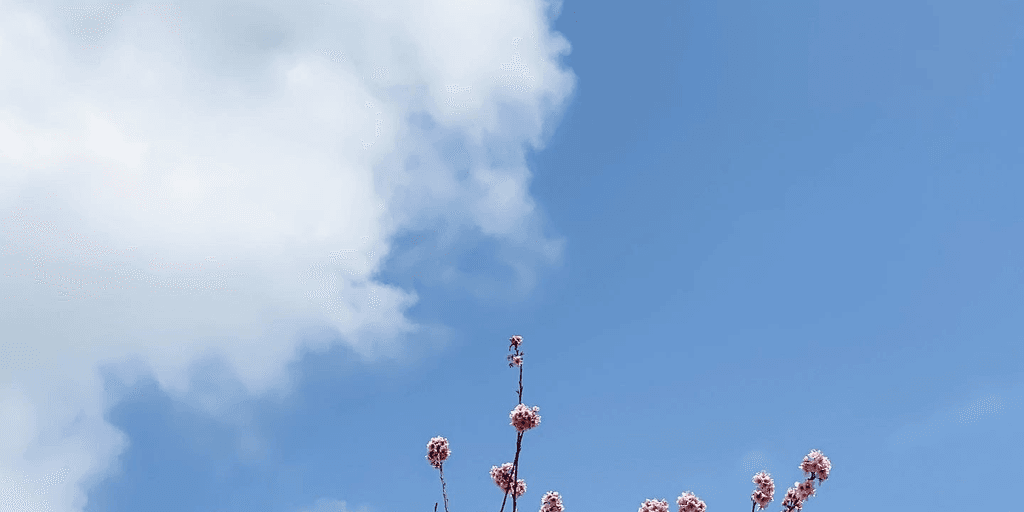 user banner