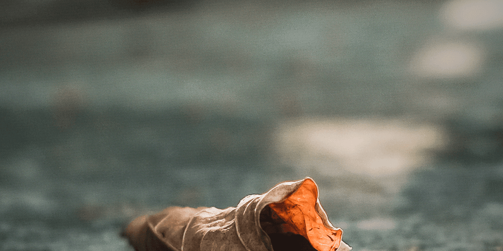 user banner