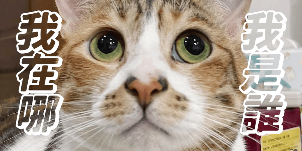 user banner