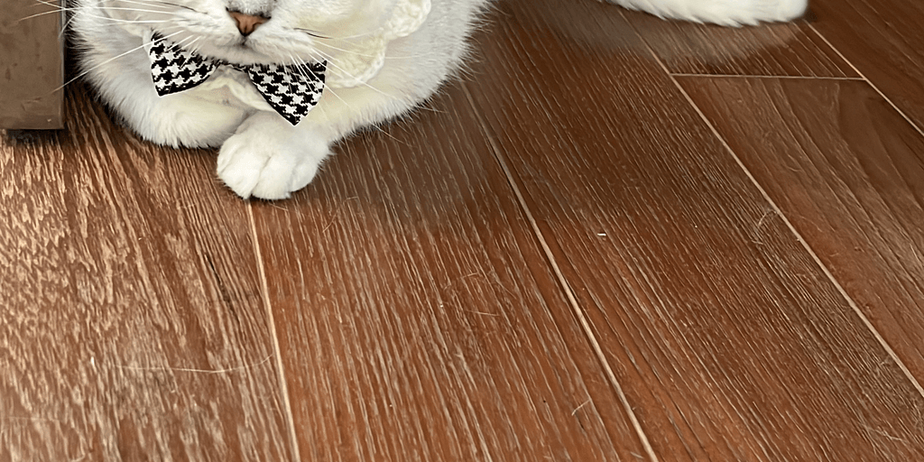 user banner