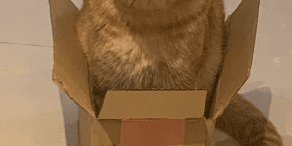 user banner