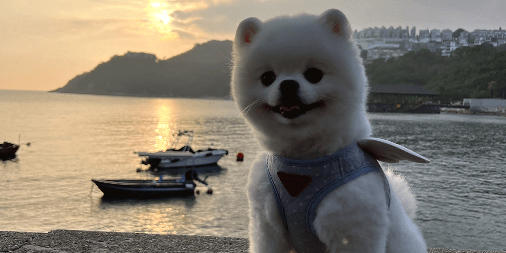 user banner