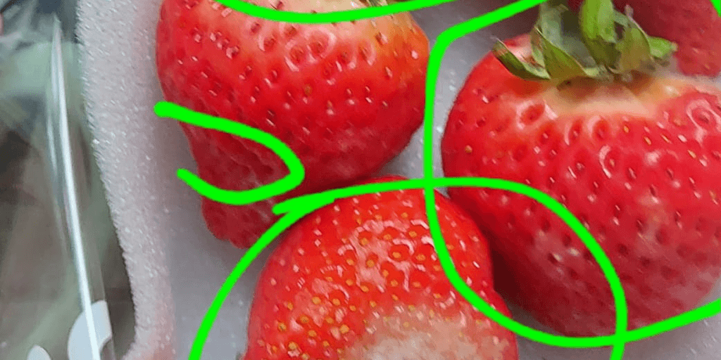 user banner