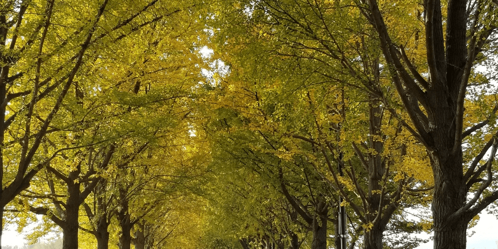 user banner
