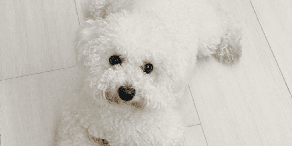 user banner