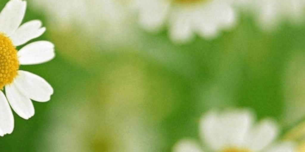 user banner