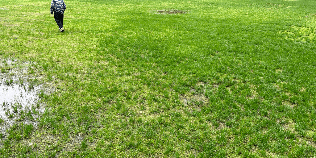 user banner