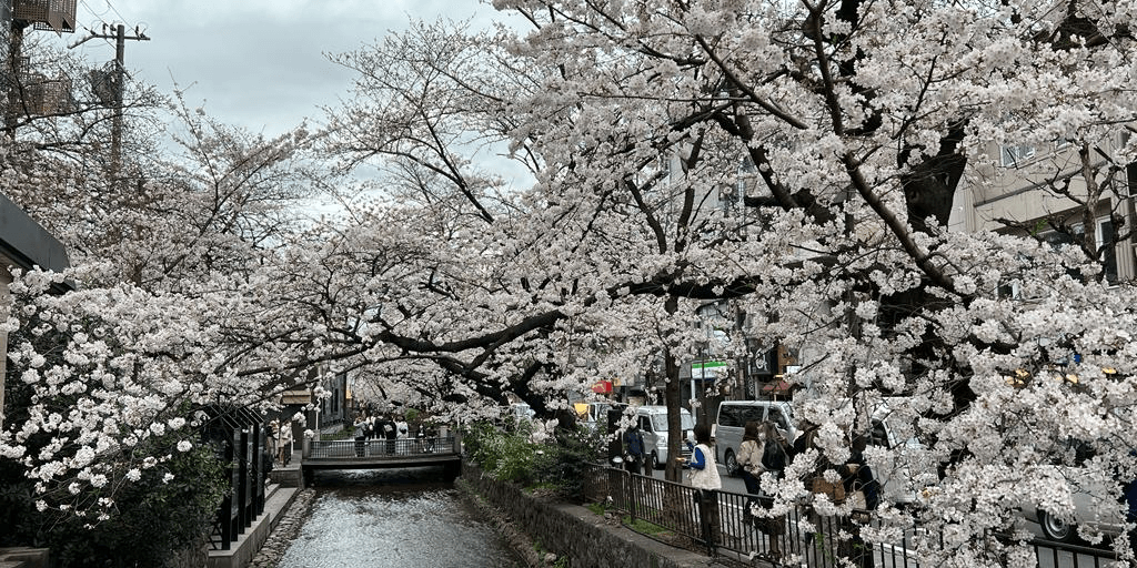 user banner