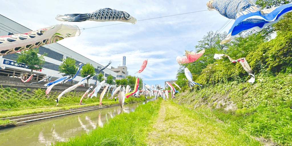 user banner
