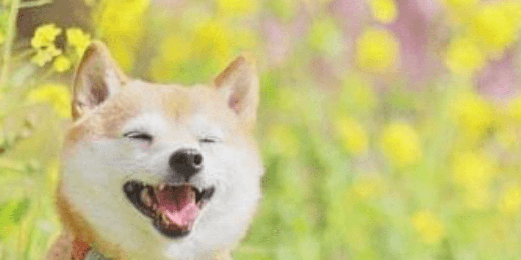 user banner
