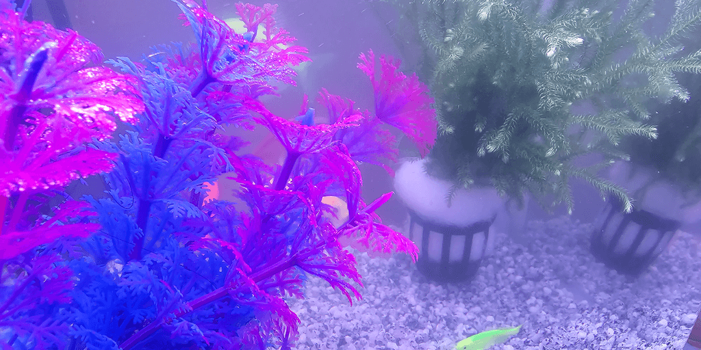 user banner