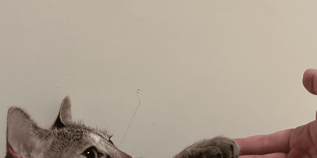 user banner