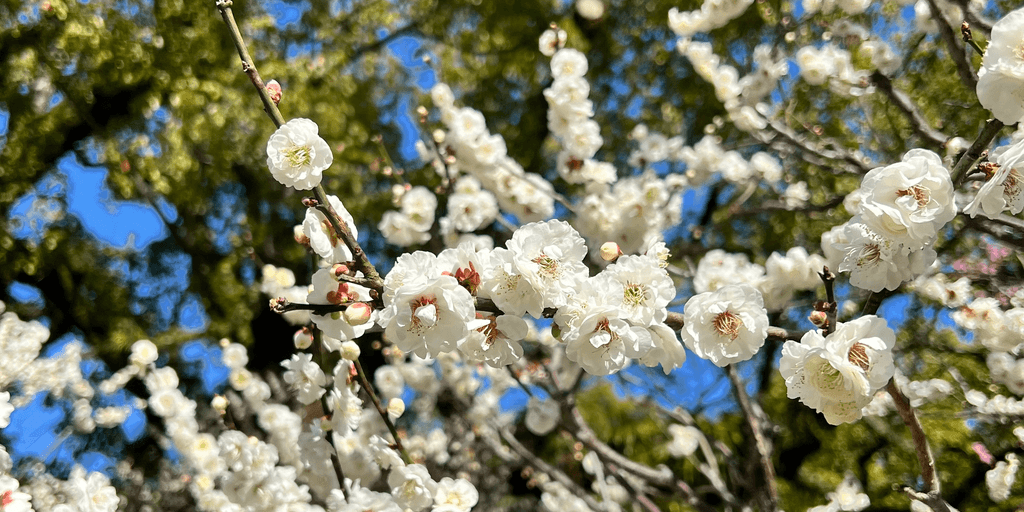 user banner