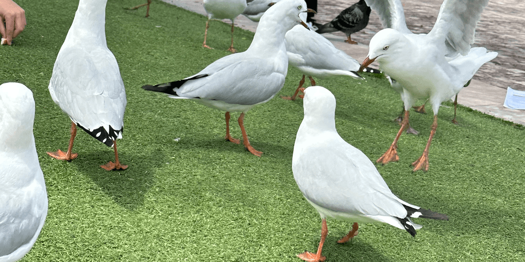 user banner