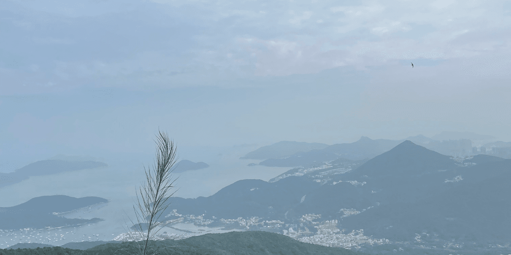 user banner