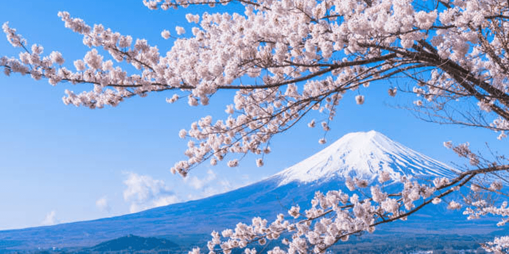 user banner