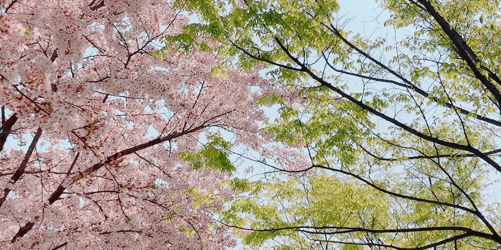 user banner