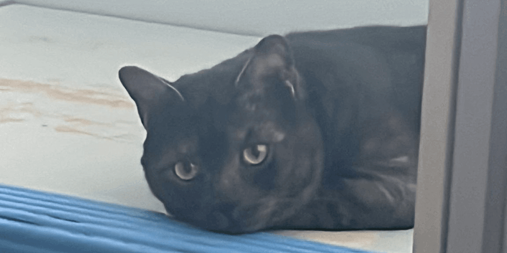 user banner
