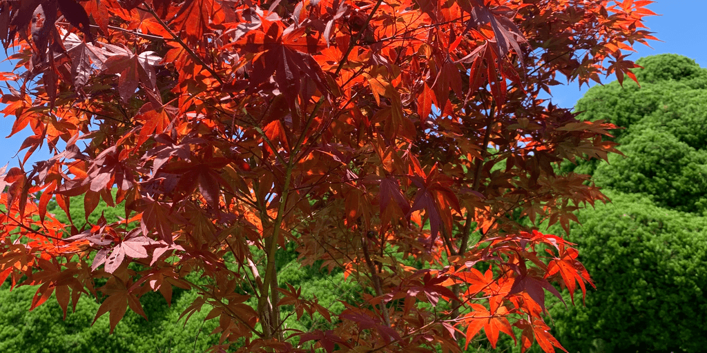 user banner