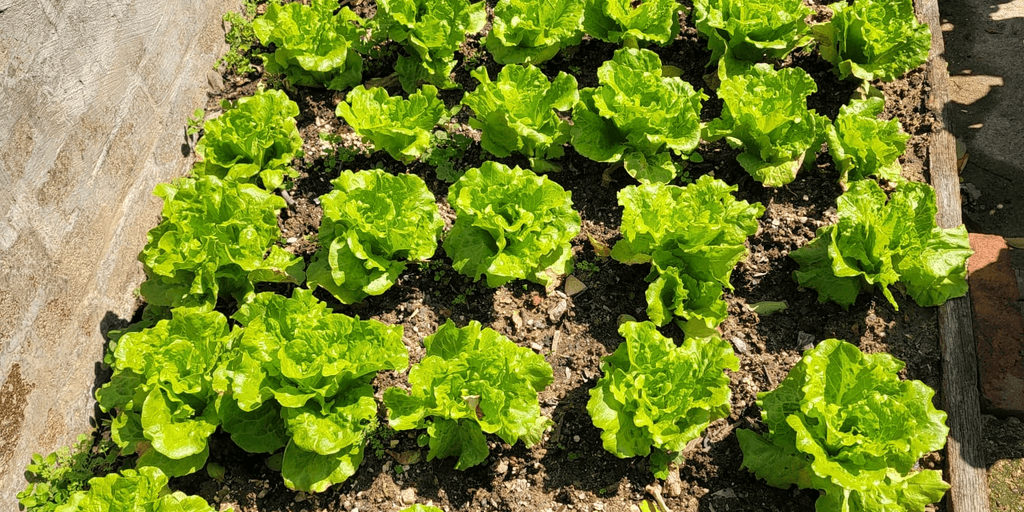 user banner