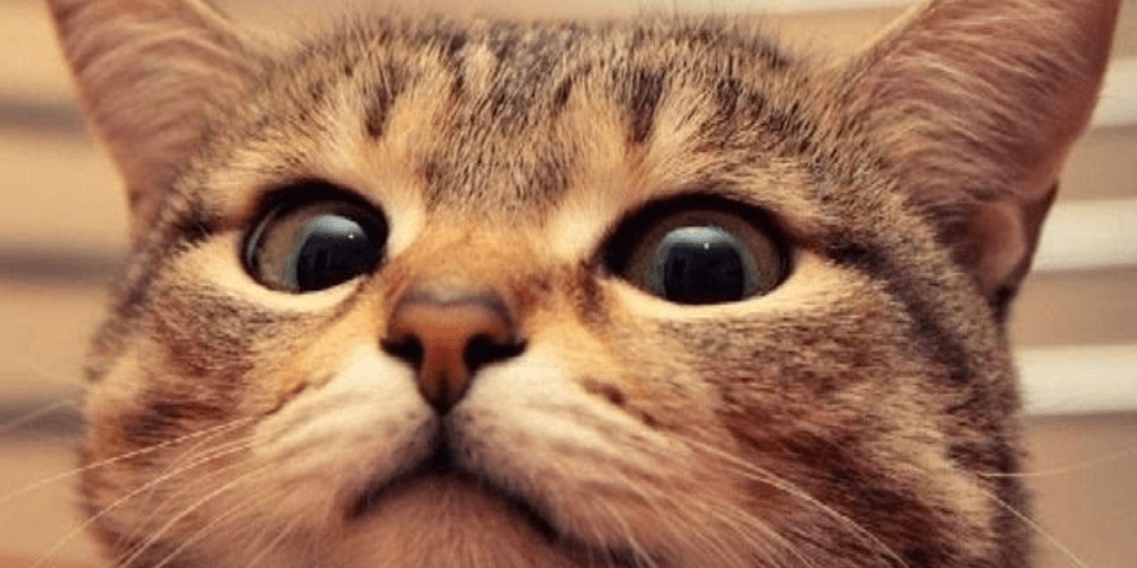 user banner