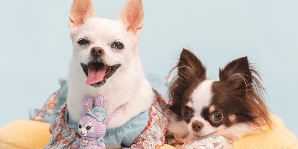 user banner