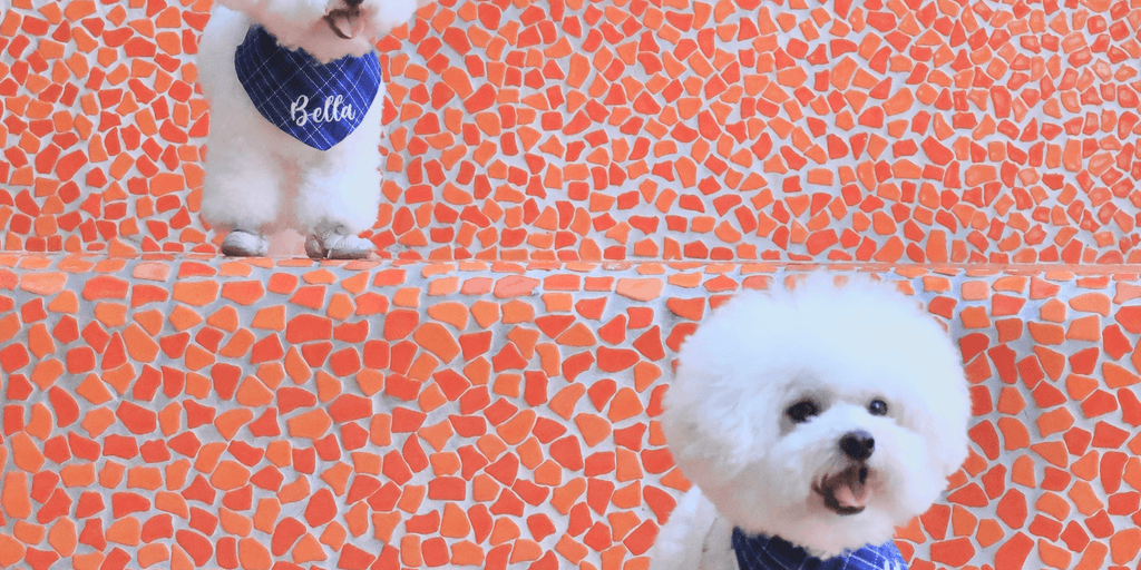 user banner