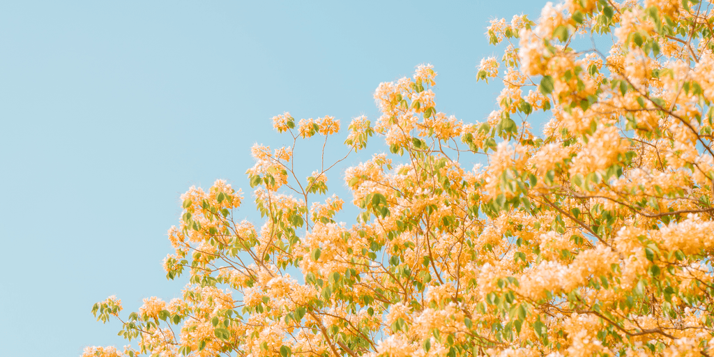 user banner