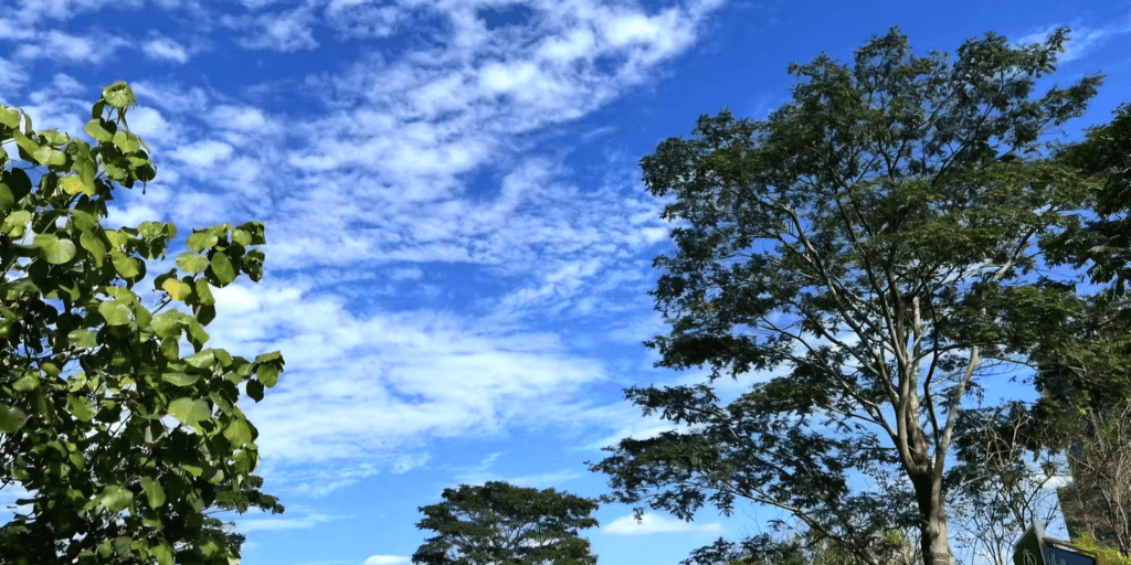 user banner