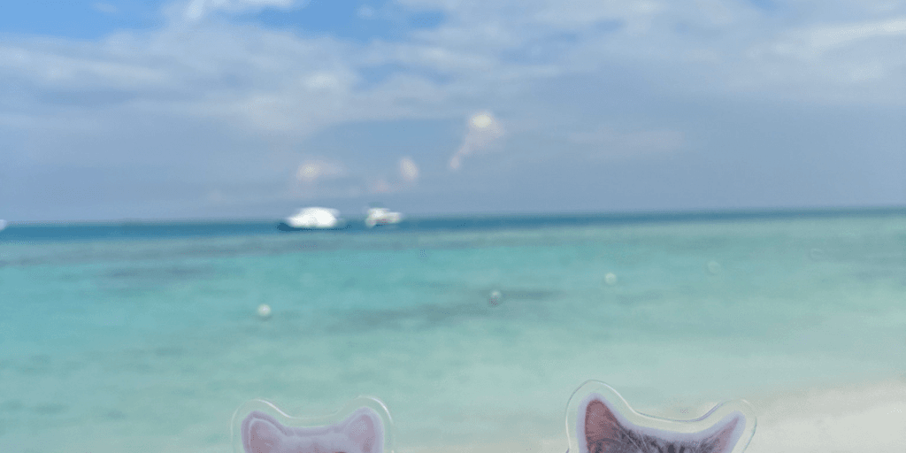 user banner