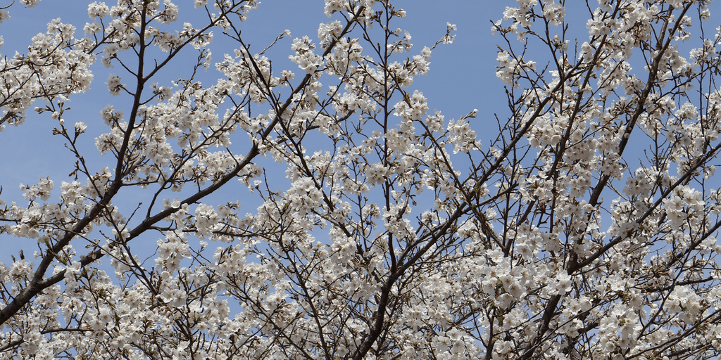 user banner