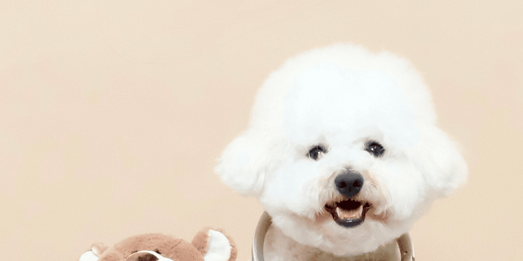 user banner