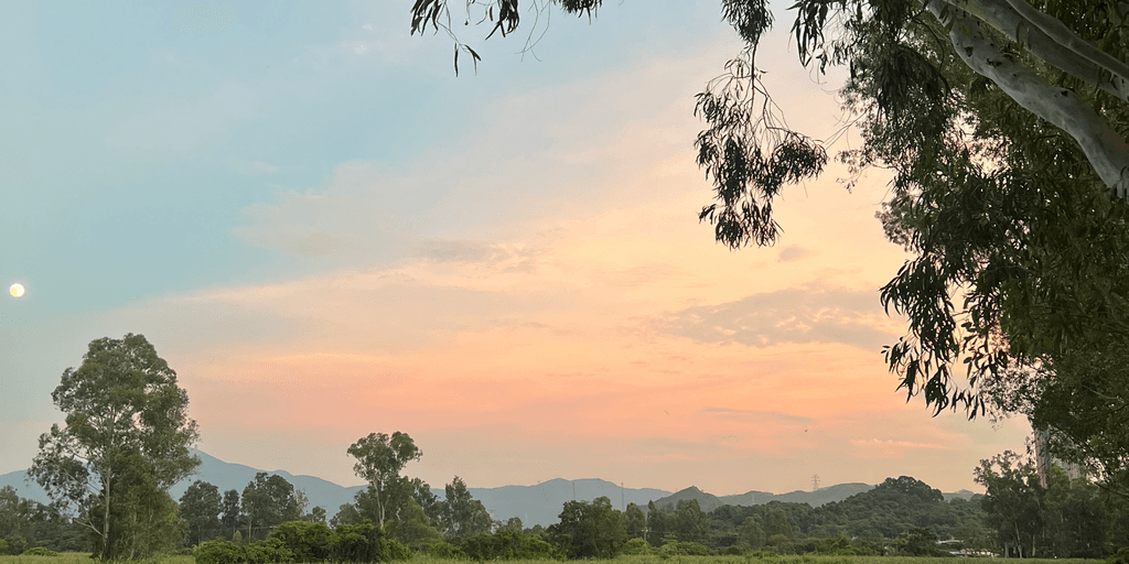 user banner