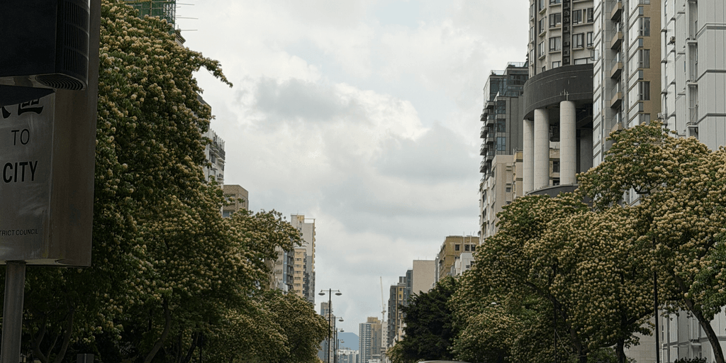 user banner