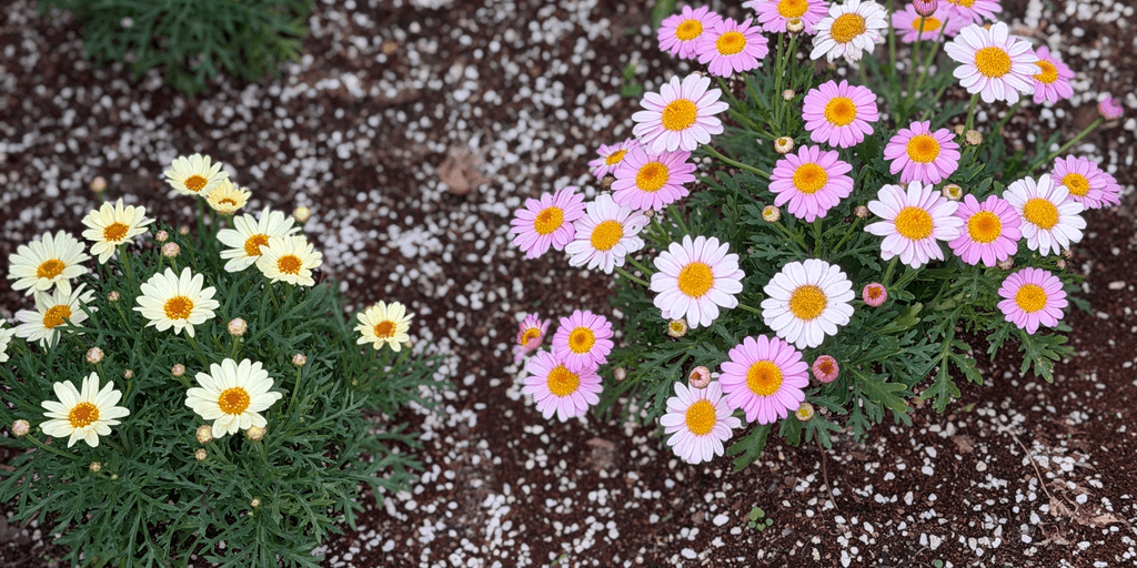 user banner